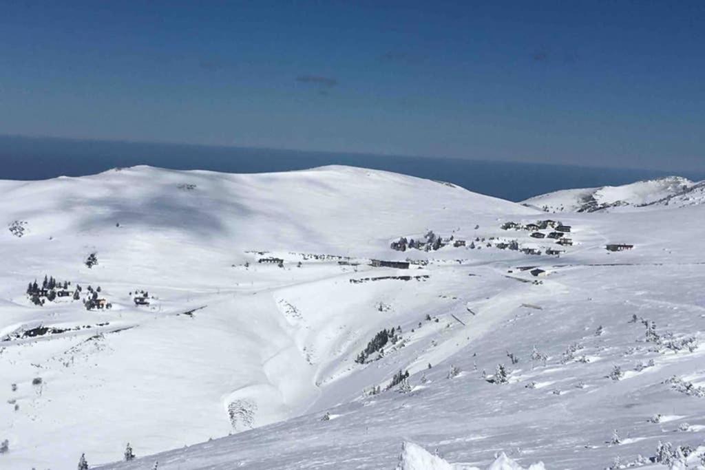 Chalet Ascou-Pailheres Eksteriør billede