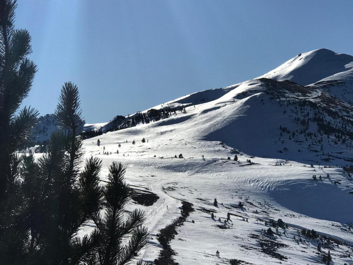 Chalet Ascou-Pailheres Eksteriør billede